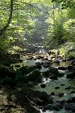 Glenariff River 